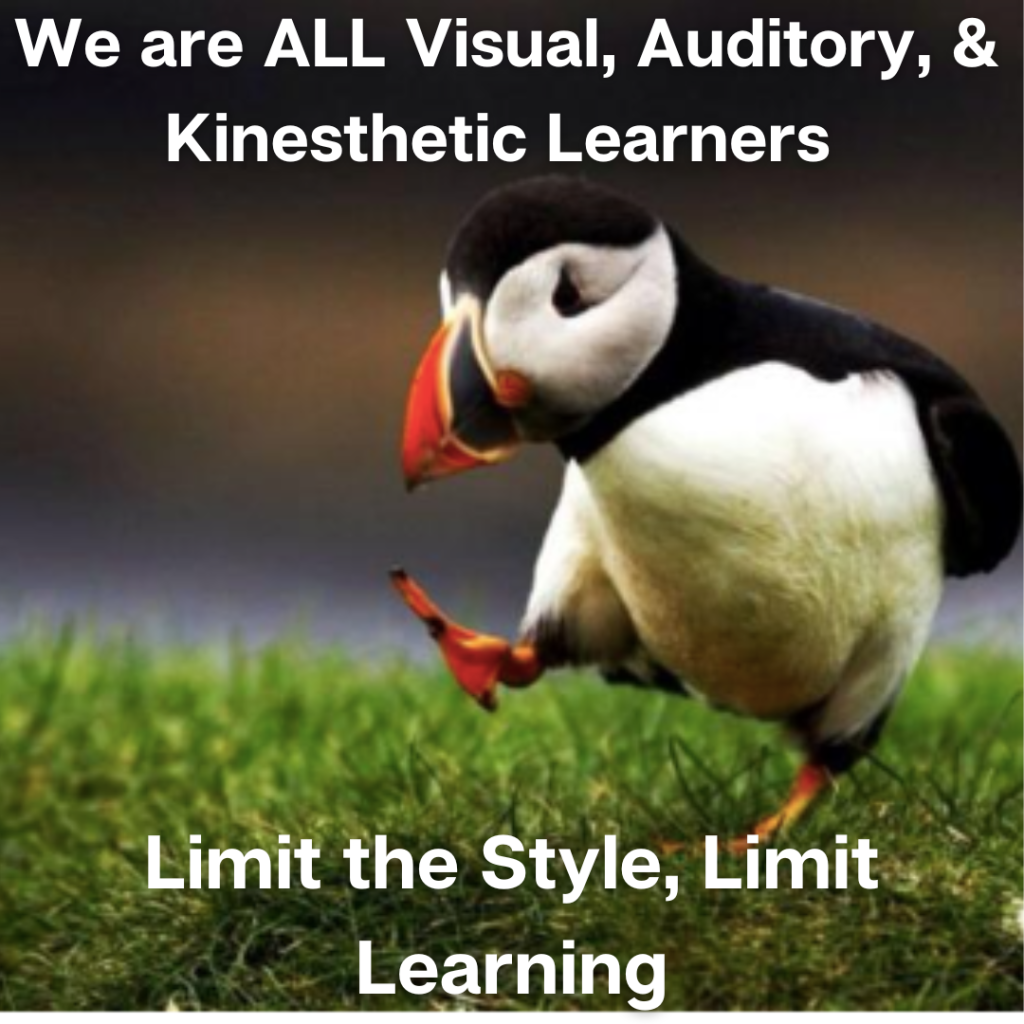Unpopular Puffin reminds us that we are all VAK learners